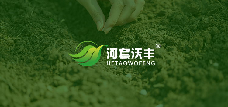 最新揭秘 | 為什么菌肥要添加“枯草芽孢桿菌”？